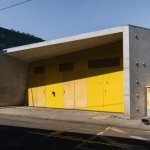 010. Spot with Vibrant Yellow