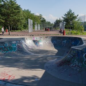 169. Skatepark with Urban Flair