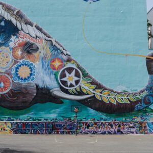 028. Unique sports field with mural