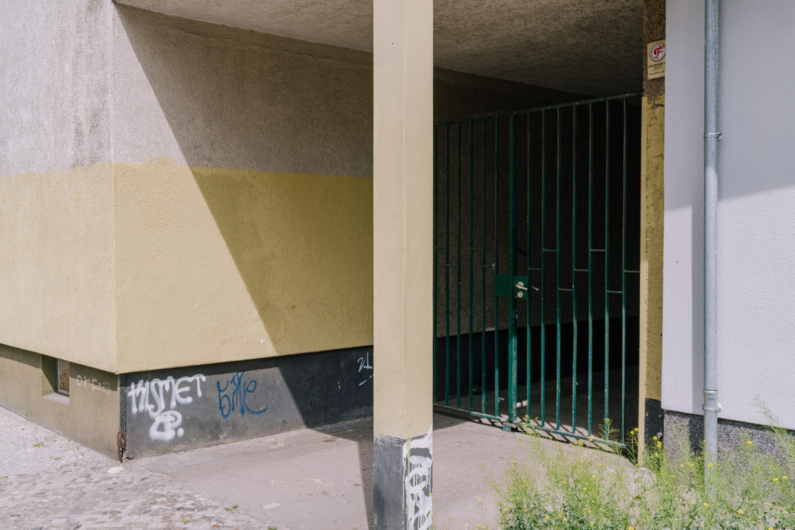 434. Yellow Green Entry